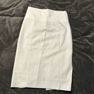 Express pencil skirt